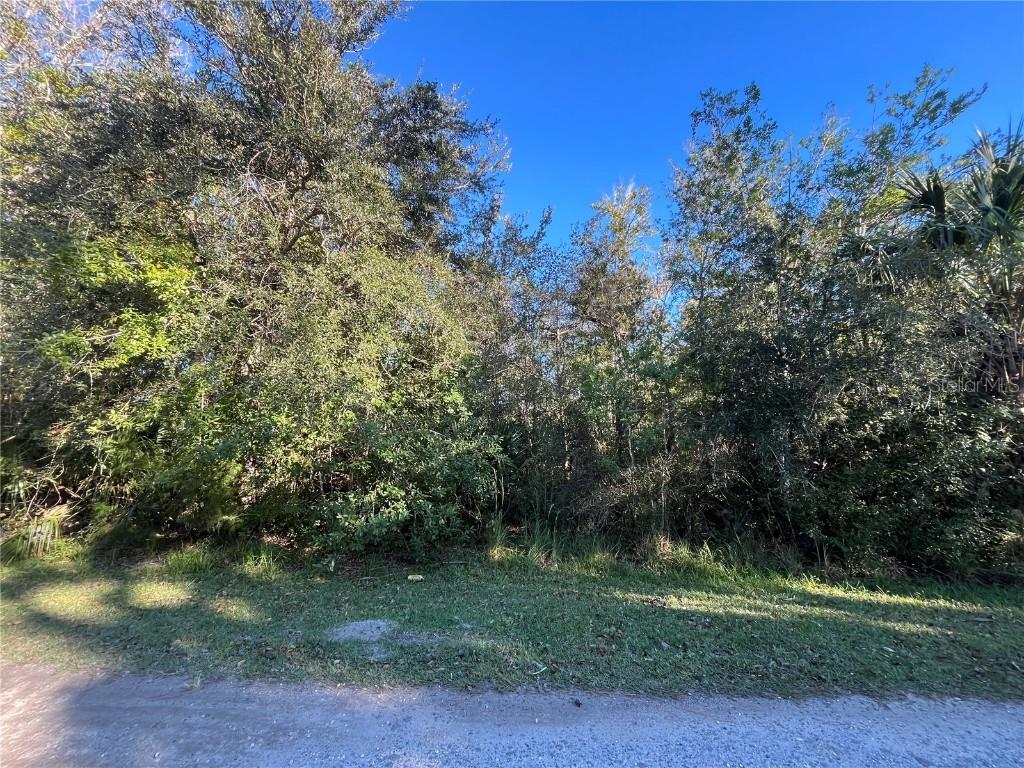 9667 S Lotus Point, Homosassa, FL 34448