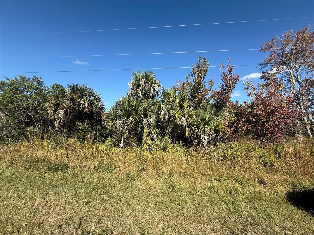 14881 NW 284th St., Okeechobee, FL 34972