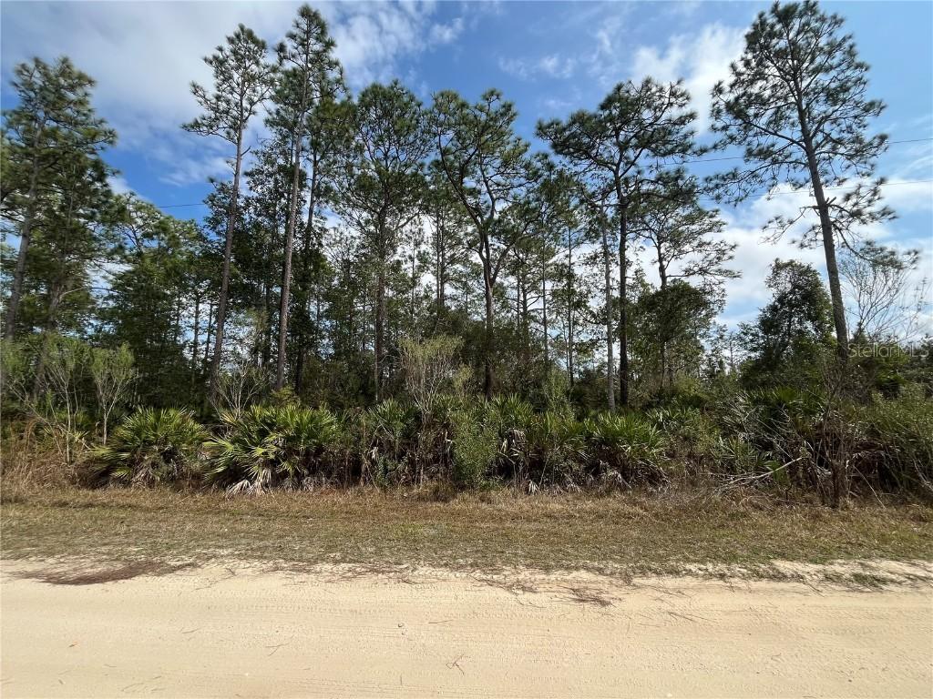 206 Royal Ave., Interlachen, FL 32148