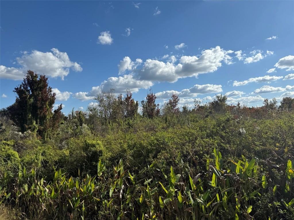 19624 NW 244th St., Okeechobee, FL 34972