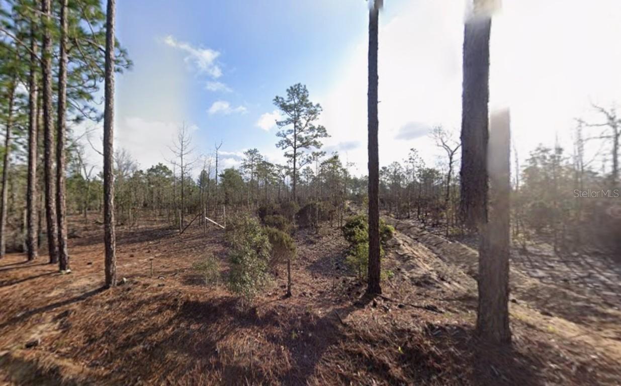 116 Tulip Ave., Interlachen, FL 32148