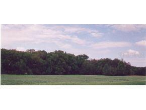 9082 SE Baseline Rd., Ocala, FL 34420