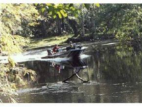 Highway 314 Null, Silver Springs, FL 34488