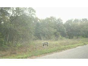 Fisher Lane Dr., Ocklawaha, FL 32179