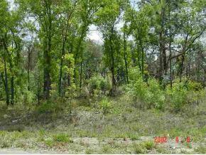 LOT 22 Lot 22 Dogwood Dr Pl., Ocala, FL 34472