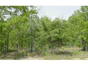 LOT 6 Lot 6 Maluka Rad, Ocala, FL 34472