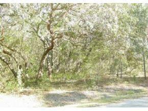 SE 170 Ct., Ocklawaha, FL 32179