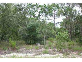 SW Bamboo Ln., Dunnellon, FL 34431