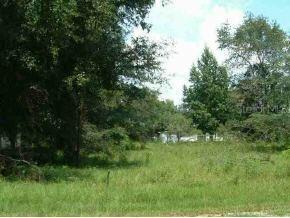 SE 137 Ln., Summerfield, FL 34491