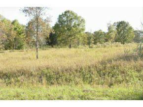Maluaka Trace, Ocala, FL 34472