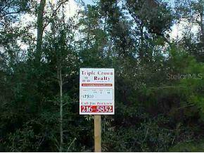 Lot 13 SW Lot 13 100 St., Ocala, FL 34476