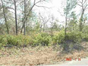 SW 54 Ct Rd., Ocala, FL 34473