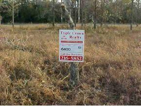 L50 51 L50 51 Olive Circle Loop, Ocala, FL 34472