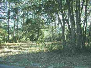 NW Wagon Wheel Way, Ocala, FL 34482