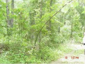 SE 23 Ct., Ocala, FL 34480