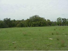 NW Highway 225a, Ocala, FL 34482