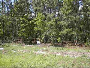 SW 60th Cir., Ocala, FL 34473