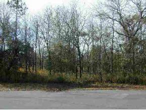 Pine Radial Court, Ocala, FL 34472