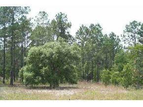 SW Wind Ct., Dunnellon, FL 34431