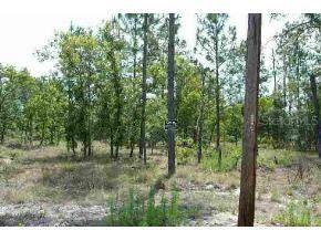 LOT 16 NW Lot 16 Tamiami Pl., Dunnellon, FL 34431