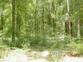 SW 158th Ln., Ocala, FL 34470