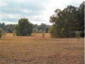 NE 5 St., Williston, FL 32696