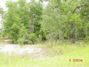 Locust Trk Pass, Ocala, FL 34472