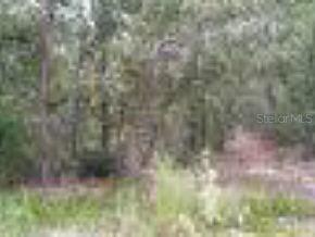 SE 161 Ct., Ocklawaha, FL 32179