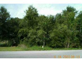 SE 59 St., Ocklawaha, FL 32179