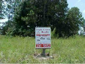 LOT 1 2 SE Lot 1 2 17 St., Ocklawaha, FL 32719