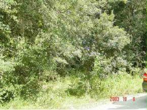 SE 27 Ct., Summerfield, FL 34491