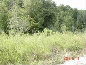 SE 26 Ter., Summerfield, FL 34491