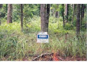 SE 131 Pll, Belleview, FL 34491