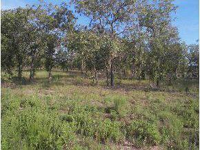 LOT 10 SE Lot 10 Highway 121, Williston, FL 32668