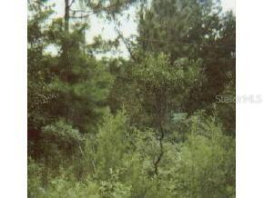 SE 45 Ave., Belleview, FL 34420