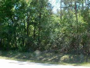 NE 103 Ct Null Rd., Orange Springs, FL 32182