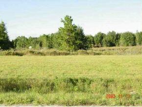 SE 146 Ln., Summerfield, FL 34491