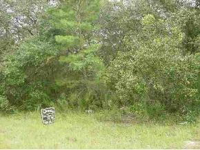 Olive Rd., Ocala, FL 34472