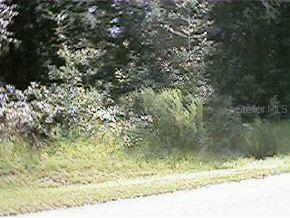 SW 85 Pl., Ocala, FL 34476