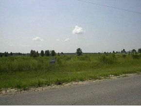 Juniper Rd., Ocala, FL 34480