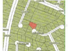 SE Pine Ps Dr., Ocala, FL 34472