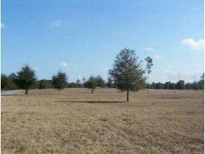 SE 220 Ave., Morriston, FL 32668