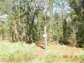 SW 12 Pl., Dunnellon, FL 34431