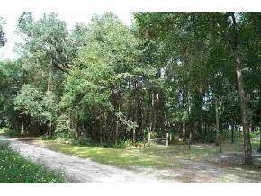SE 53 Ave., Summerfield, FL 34491