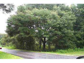 SE 140 St., Summerfield, FL 34491