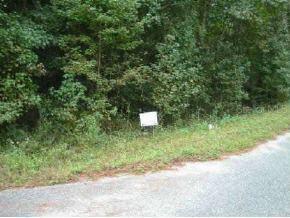 SW 133 Ave Rd., Ocala, FL 34431