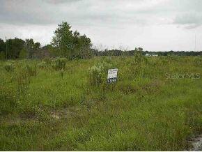 Walnut Rn Ct., Ocala, FL 34472