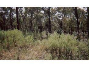 SW 8 Pl., Ocala, FL 34481