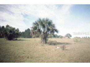 SE 34 Ln., Ocklawaha, FL 32179
