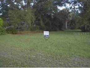 SE 159 Pl., Summerfield, FL 34491